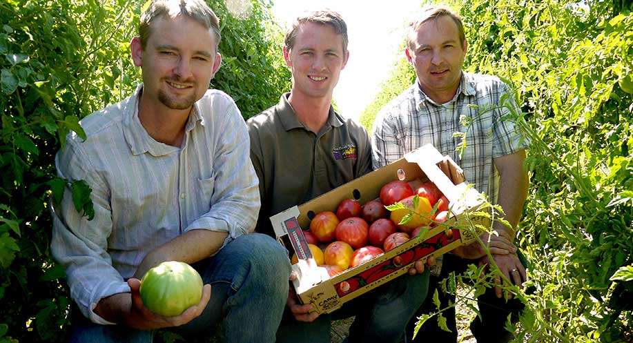 Farm Fresh To You farmers with tomatos