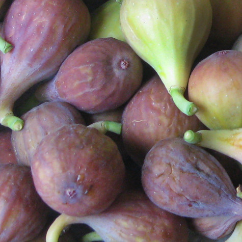 Figs