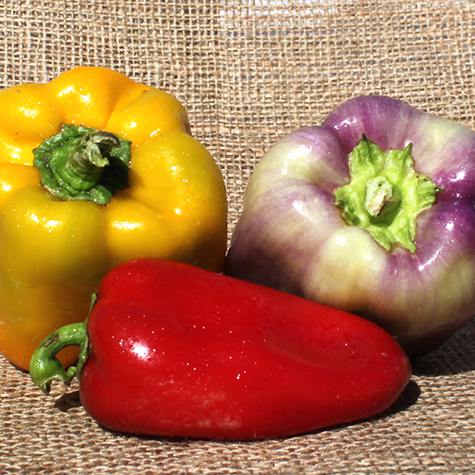 Peppers