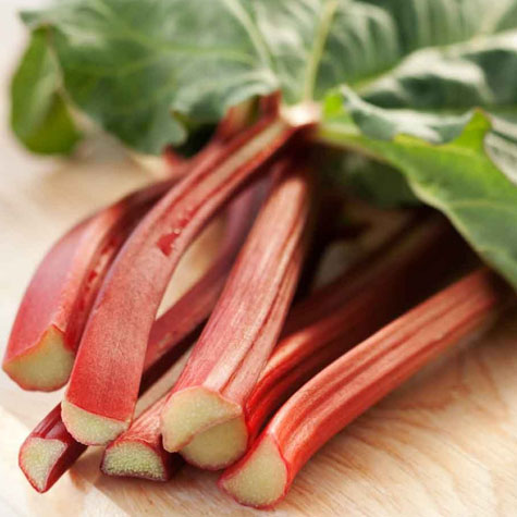 Rhubarb