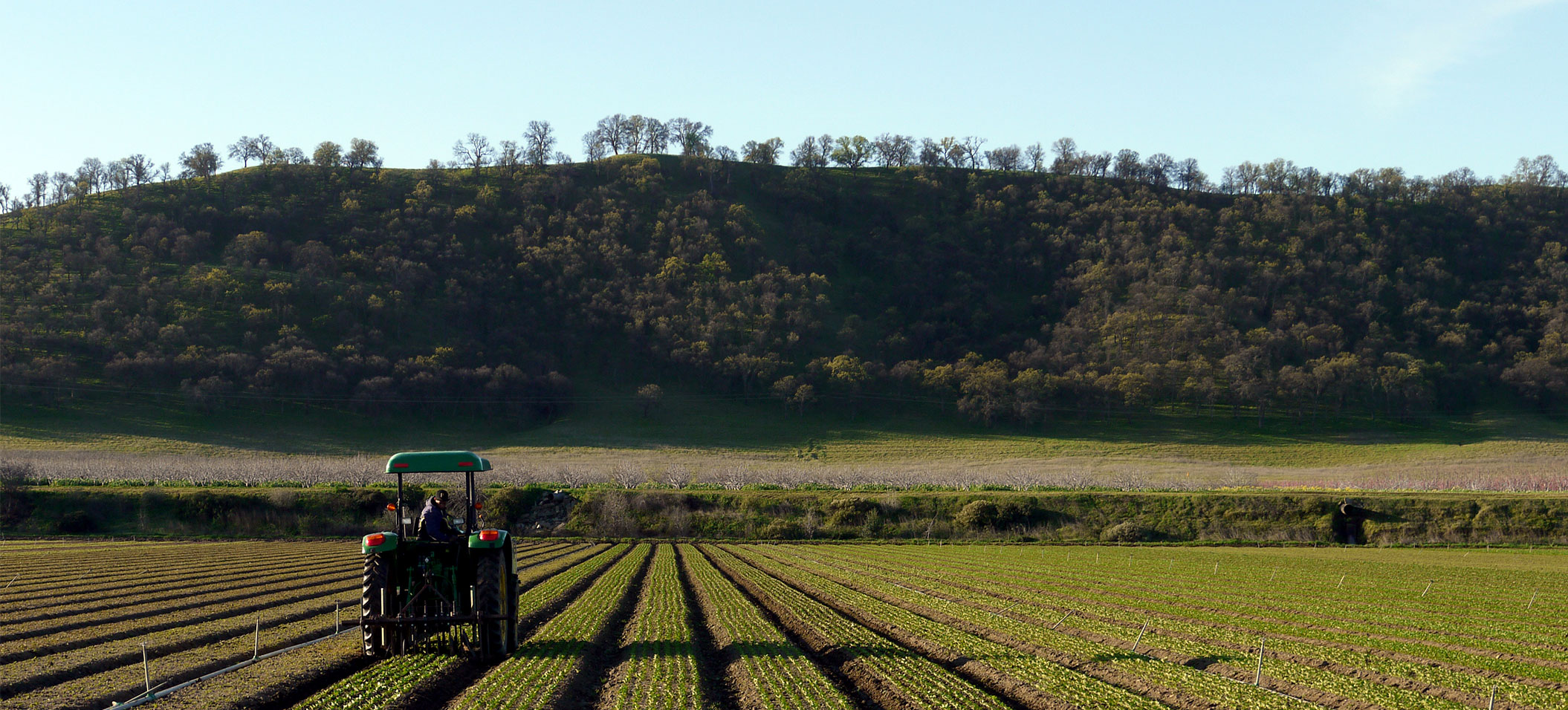 tractor maintaining field