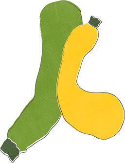 zucchini